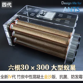 Šesť 30 300mm bionic neutrálne betónové bambusu festival hniezdo workshop ant villa profesionálne acryli mravce hniezdo