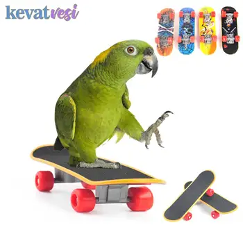 Vták Hračky, Zábavné Mini Skateboard Papagáj Hračka školenia Skateboard Budgies Parakeet Rast Hračka Pajaros Inteligencie Vták Príslušenstvo